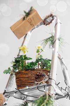 Foto_Jasmina Putnik - JRP Studio